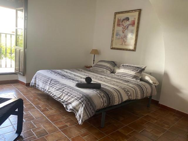 Apartamentos 阿尔戈多纳莱斯 外观 照片