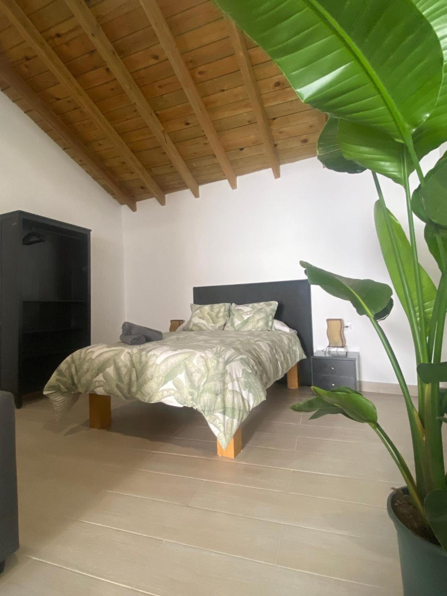 Apartamentos 阿尔戈多纳莱斯 外观 照片